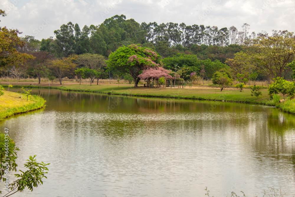 Parque público, Leolídio di Ramos Caiado, na cidade de Goiânia, com pequeno lago e vegetação abundante. Parque público, Leolídio di Ramos Caiado, na cidade de Goiânia, com pequeno lago e vegetação abundante.
