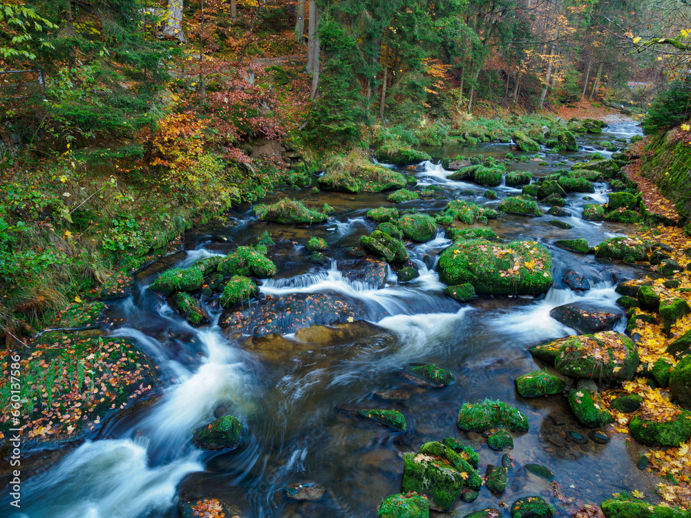 Fototapeta premium Mountain stream in autumn.