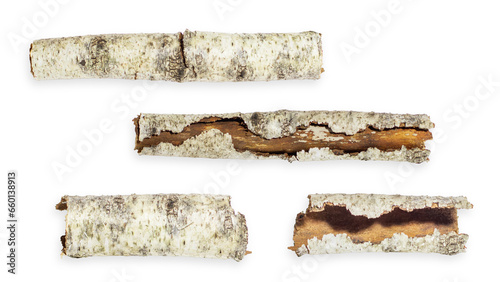 Set/set. different options and forms. Birch bark. On an empty background. PNG