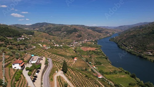 Aerial view of the beautiful vineyards in Douro Valley, Porto area, Portugal on a summer day.