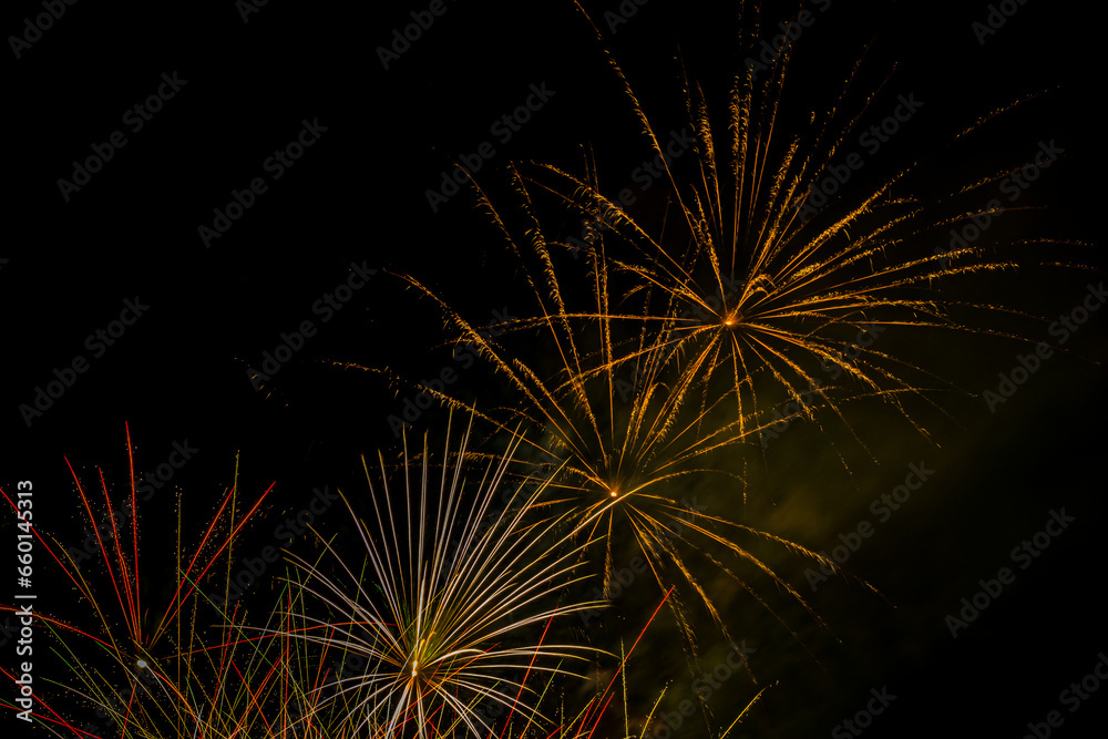 A fireworks display against the night sky