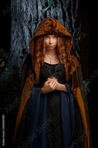 Elf princess from fantasy fairytale. Portrait of beautiful young woman in medieval style dress © luengo_ua