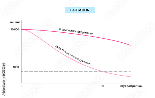 Hormones in pregnancy