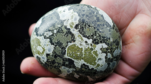 Closeup of a mossy diorite pebble with a speckled appearance, displaying a mix of green, black, and white speckles on a textured surface. The stone feels cool and heavy in the hand. photo