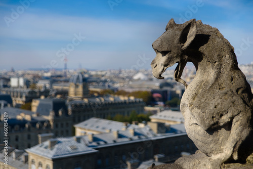 The Gargoyles of Notre Dame Cathedral overlooking Paris, France © momo11353