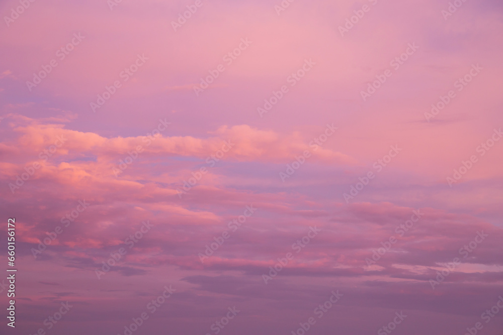 Pink purple violet cloudy sunrise sky. Beautiful soft gentle sunset with clouds background texture
