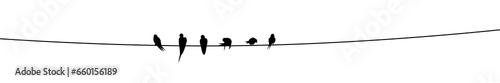 Silhouette of birds on a wire. Swallows sit on a wire.