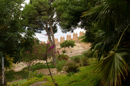 trees in the garden