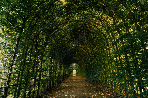 Covered Walkway, Alnwick Gardens, Northumberland - United Kingdom