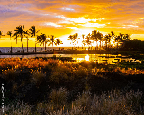 Coconut Palms at Sunset on Anchialine Pond and Anaeho'omalu Bay at The Waikoloa Beach, Waikoloa, Hawaii, USA