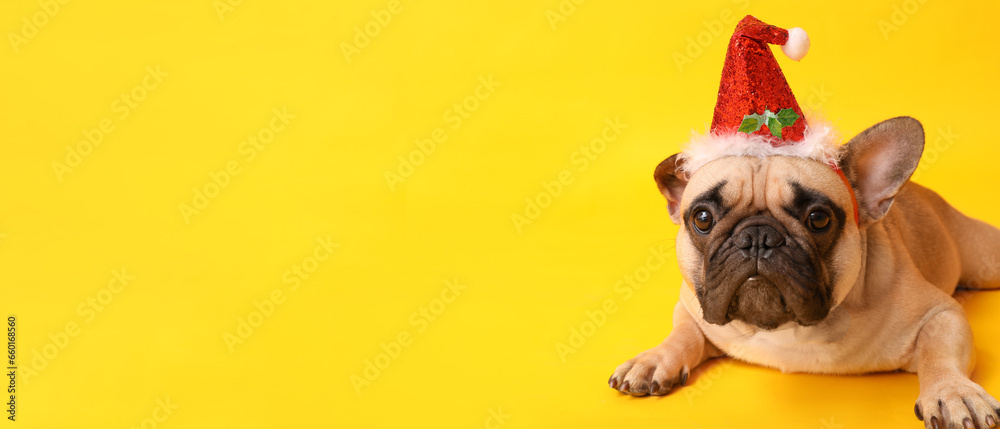 Cute dog in Santa hat on yellow background with space for text