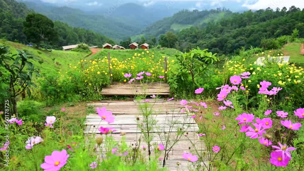 Hadubi Camping Viewpoint,view of Doi Luang Chiang Dao mountain in the