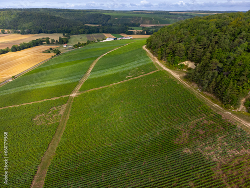 Aerial view on hills with vineyards near Urville, green champagne vineyards in Cote des Bar, Aube, south of Champange, France