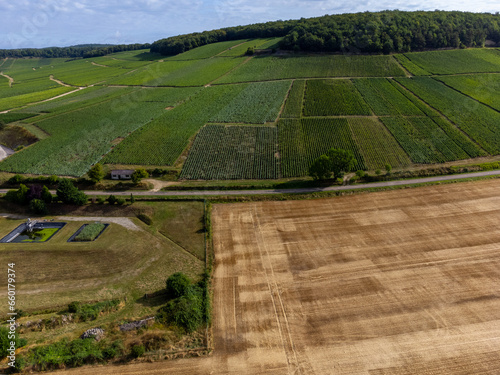 Aerial view on hills with vineyards near Urville, green champagne vineyards in Cote des Bar, Aube, south of Champange, France photo