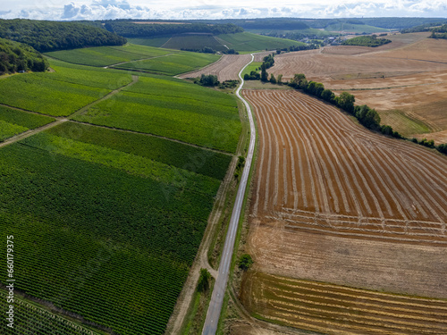 Aerial view on hills with vineyards near Urville, green champagne vineyards in Cote des Bar, Aube, south of Champange, France photo