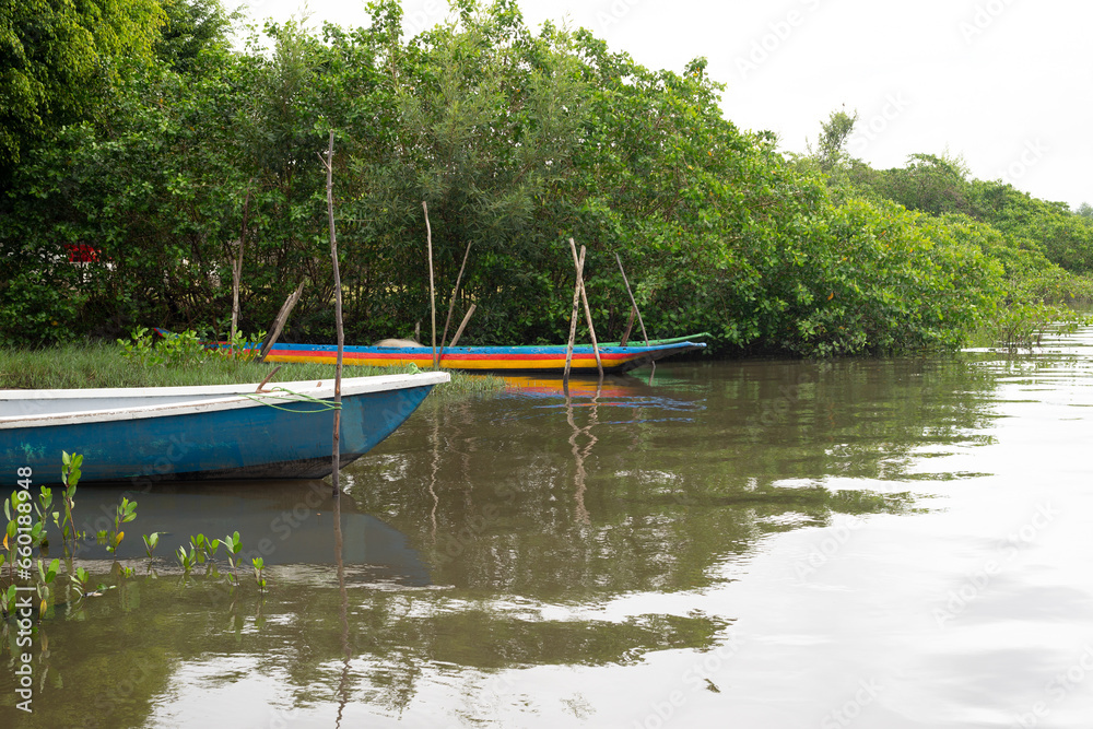 Obraz premium Canoes docked on the riverbank next to the mange. Fishing boats.