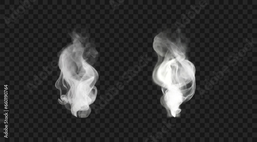 Vector realistic smoke isolated on transparent backdrop. Wavy fog from hot drink, food or cigarette 