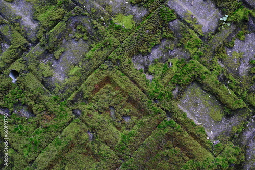 ブロック塀に張り付く苔の背景 © v_0_0_v