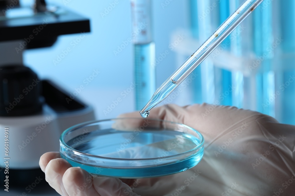 Scientist dripping liquid from pipette into petri dish in laboratory, closeup Scientist dripping liquid from pipette into petri dish in laboratory, closeup