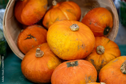 A straw bucket or basket filled with a bunch of vibrant orange color ripe organic persimmons. The round barrel is tan colored and the fruit on the table is for sale at a farmers market. 