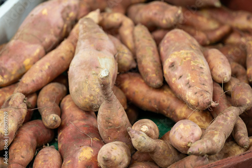 A basket of tuber sweet potatoes or yams for sale at a farmers' market. The bulk container of harvested yellow skinned raw whole root vegetables. The spuds have soil on the skin of the vegetable. 