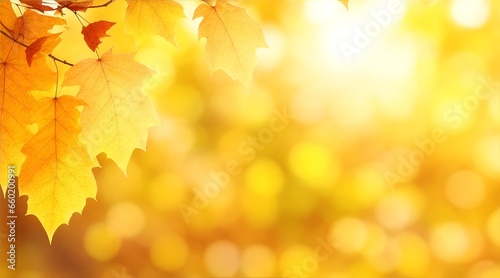 Beautiful autumn background with yellow leaves and bokeh sunshine  bokeh and glow. Falling leaves natural background.