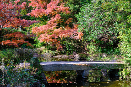 赤く染まる日本庭園