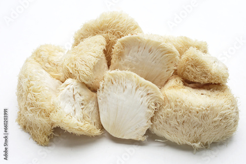 Fresh lion's mane mushroom on white background. (Yamabushitake Mushroom)
