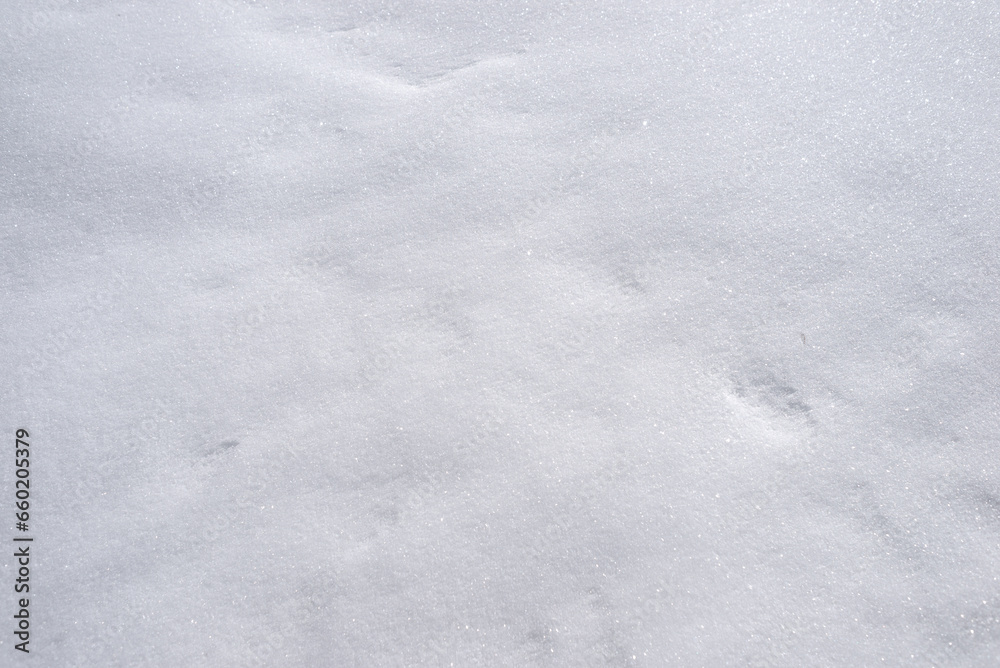 Obraz premium Snow texture. Background