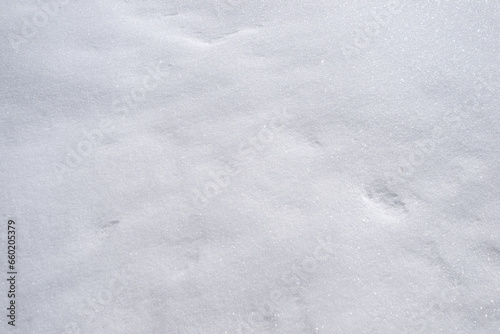 Snow texture. Background