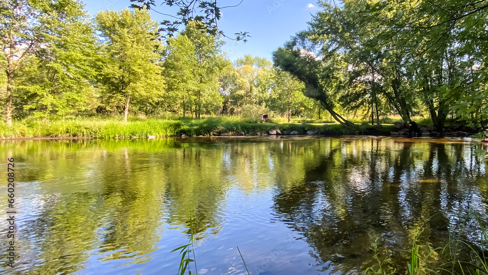Little Wolf River in Symco Wisconsin on a Summer Day Little Wolf River in Symco Wisconsin on a Summer Day