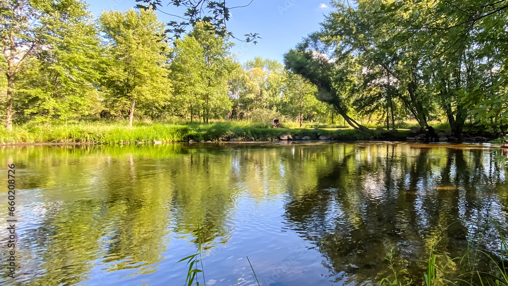 Little Wolf River in Symco Wisconsin on a Summer Day