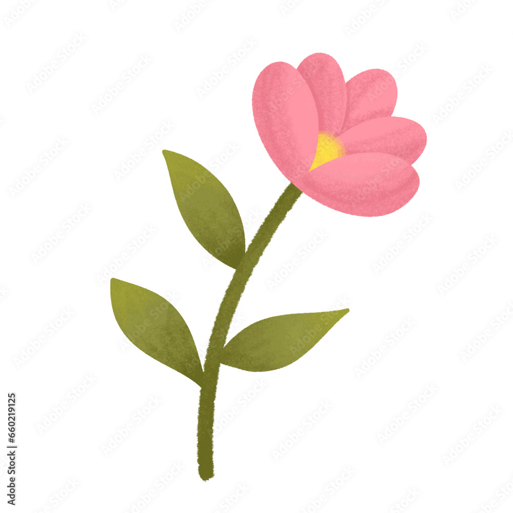 flowers flowers
