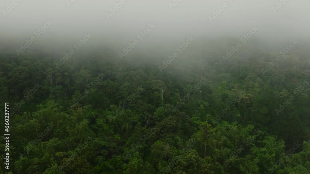 Scenic landscape of a foggy mountain with forest. Mindanao, Philippines. Scenic landscape of a foggy mountain with forest. Mindanao, Philippines.