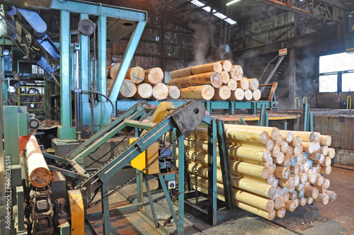 plywood factory