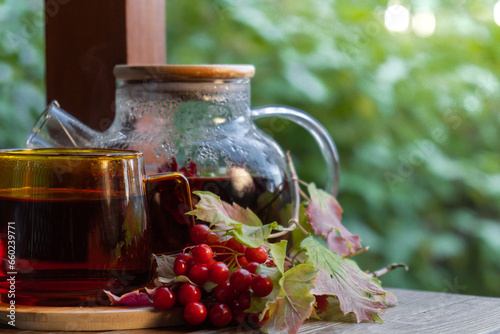 Obraz na plátně Guelder rose Viburnum red berries healthy tea in glass mug with tea pot on garden table