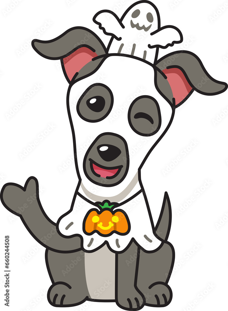 Cartoon greyhound dog with halloween costume for design. Cartoon greyhound dog with halloween costume for design.