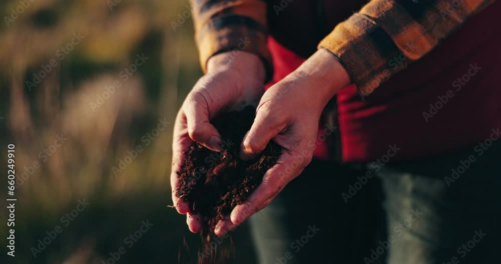 Farming, hands and checking soil in inspection of agriculture, fertilizer and natural nutrition for seed. Farmer, closeup and dirt or compost for growth, sustainability and agro on countryside field