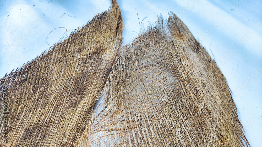 Fototapeta premium Brown dry palm tree trunk from jungle with interesting texture, background, details. Abstract background, frame and copy space
