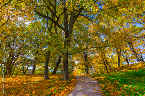 Dubingiai mound in Lithuania at autumn © lukjonis