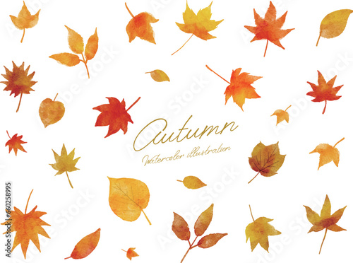 秋で紅葉した葉っぱやモミジ等の水彩画イラストセット