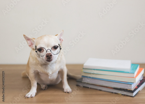 brown chihuahua dog wearing eye glasses, sitting  with stack of books on wooden floor and white background. © Phuttharak