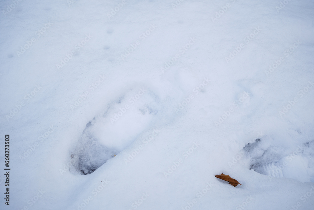 雪に残る子供の足跡