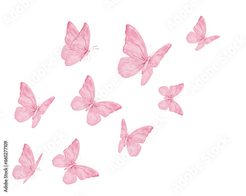 butterflies and flowers © ulucsevda