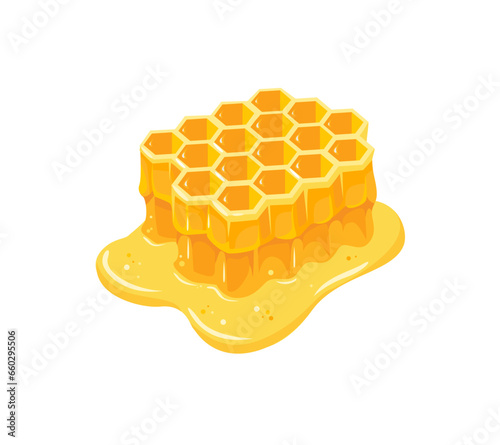 Honeycomb and honey puddle isolated on white background. Vector cartoon flat illustration. Honey icon.