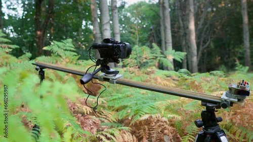 Wallpaper Mural Mirrorless camera motion tracking slider photographing timelapse autumn leaves forest Torontodigital.ca