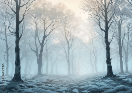 deep forest trail