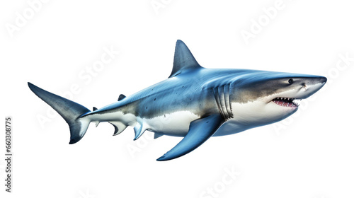 shark isolated on transparent background © DX