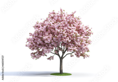 Image of cherry tree with beautiful pink blossoms on white background. Flower, Illustration, Generative AI.