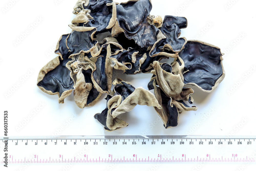 Dried black mushroom isolated on white background. Chinese black fungus or tree black muer